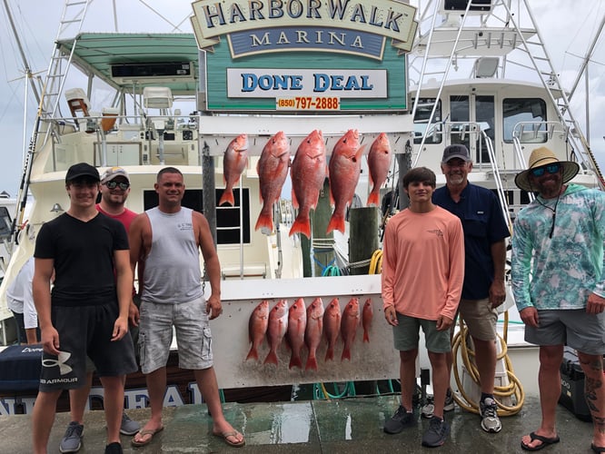 “Red Snapper Smash” In Destin