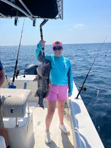 Nearshore Gulf Trolling Or Bottom Fishing - "Black Label" In Destin