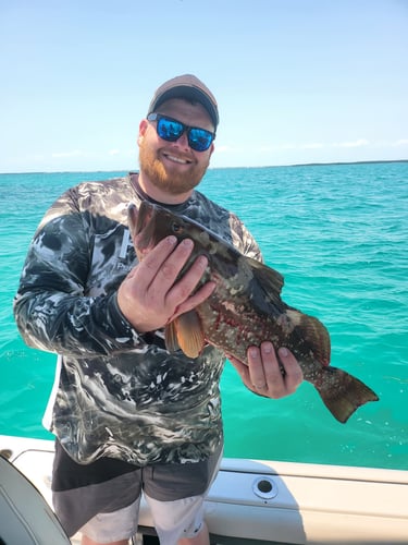 Florida Fishin' Frenzy In Tavernier