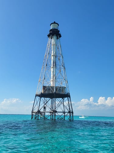 Florida Fishin' Frenzy In Tavernier