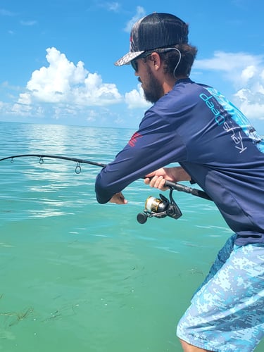 Florida Fishin' Frenzy In Tavernier