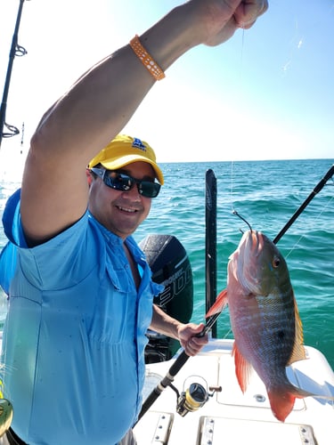 Florida Fishin' Frenzy In Tavernier