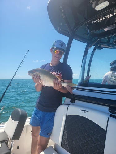 Florida Fishin' Frenzy In Tavernier