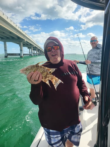 Florida Fishin' Frenzy In Tavernier