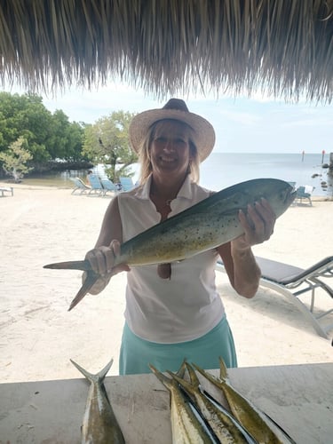 Florida Fishin' Frenzy In Tavernier