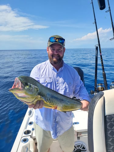 Florida Fishin' Frenzy In Tavernier