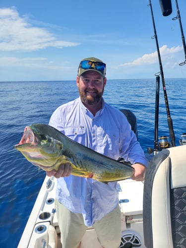 Florida Fishin' Frenzy In Tavernier