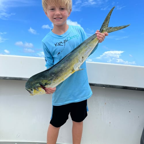 Florida Fishin' Frenzy In Tavernier