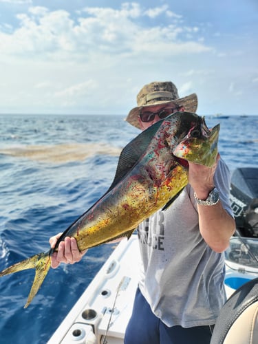 Florida Fishin' Frenzy In Tavernier