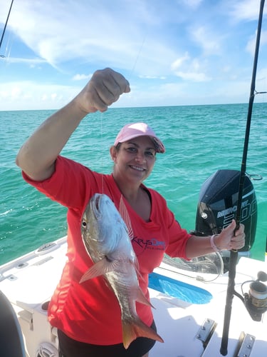 Florida Fishin' Frenzy In Tavernier