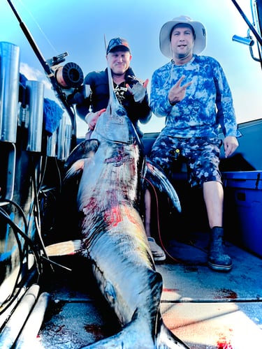 AM Full Day Big Game/Deep Sea In Miami