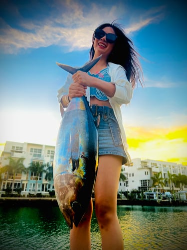 AM Full Day Big Game/Deep Sea In Miami