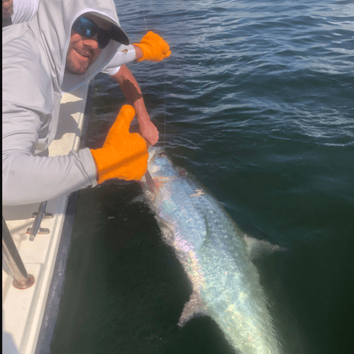 Tarpon Fishing In San Leon