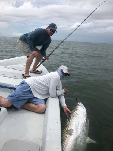 Tarpon Fishing In San Leon