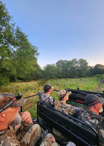 Texas Thermal Hog Hunt In Palestine