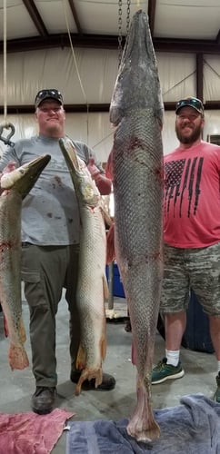 Monster Gar On Rod And Reel In Houston