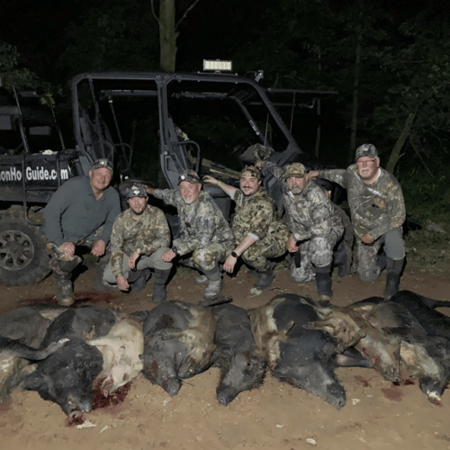 Eradication Hog Hunt In Palestine