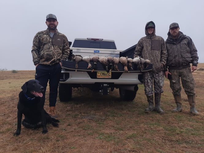 Texas Duck Destruction In Bowie