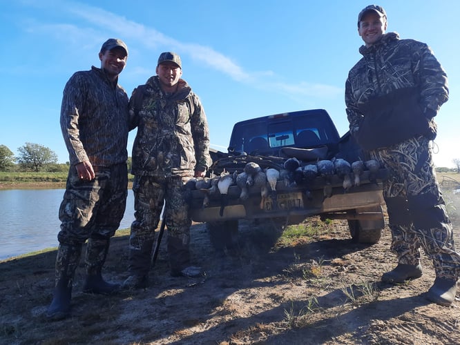 Texas Duck Destruction In Bowie