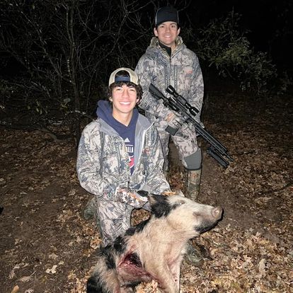 Texas Hog Harvest In Bowie