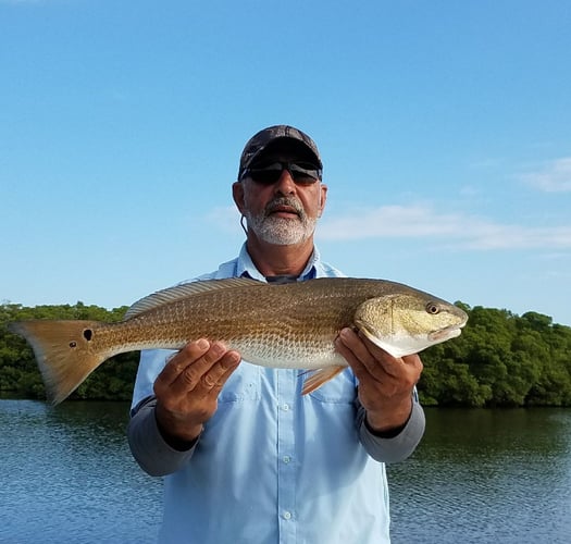 Tampa Bay Backcountry Trip In Ruskin