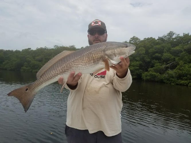 Tampa Bay Backcountry Trip In Ruskin