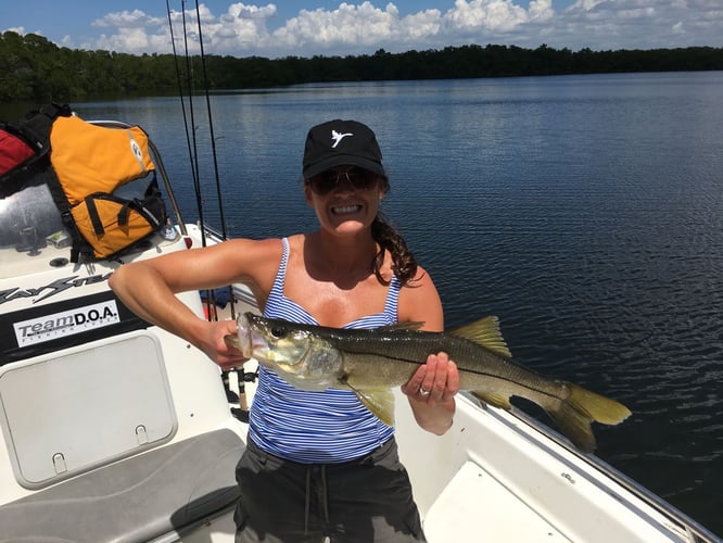 Tampa Bay Backcountry and Nearshore Waters