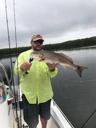 Tampa Bay Backcountry Trip In Ruskin