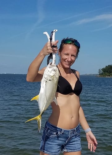Tampa Bay Backcountry and Nearshore Waters
