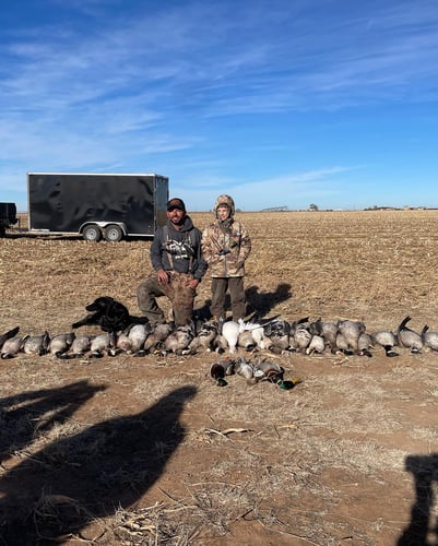 West Texas Plains Goose Hunting In New Deal