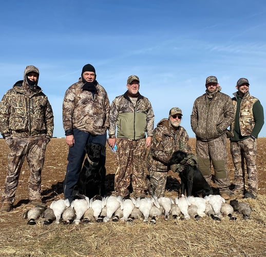 West Texas Plains Goose Hunting In New Deal