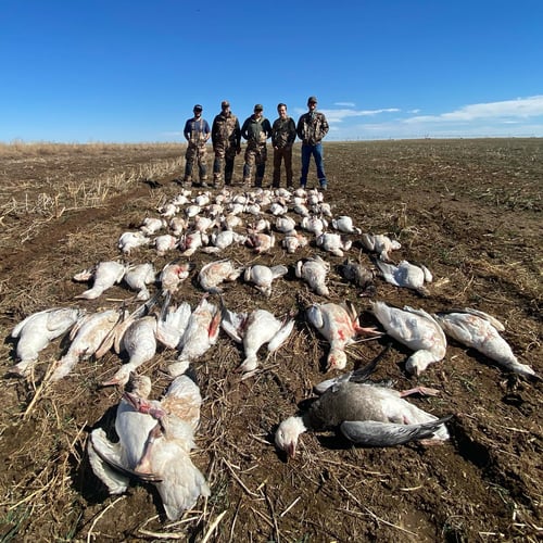 West Texas Plains Goose Hunting In New Deal