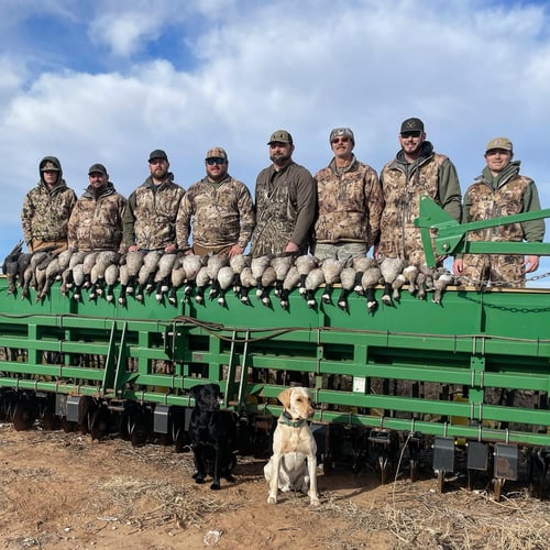 West Texas Plains Goose Hunting In New Deal
