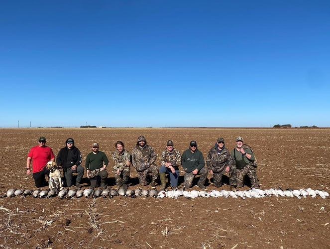West Texas Plains Goose Hunting In New Deal
