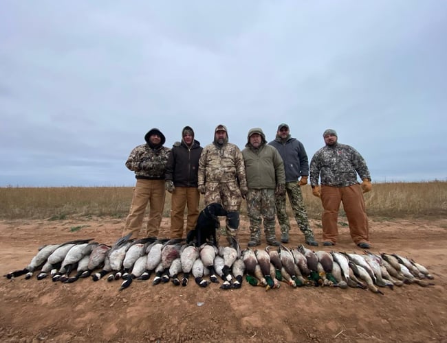 West Texas Plains Goose Hunting In New Deal