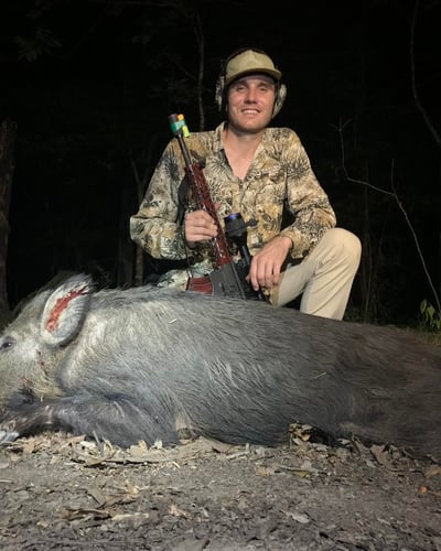 Fri - Sun Wild Boar Hunt In Tennessee Colony