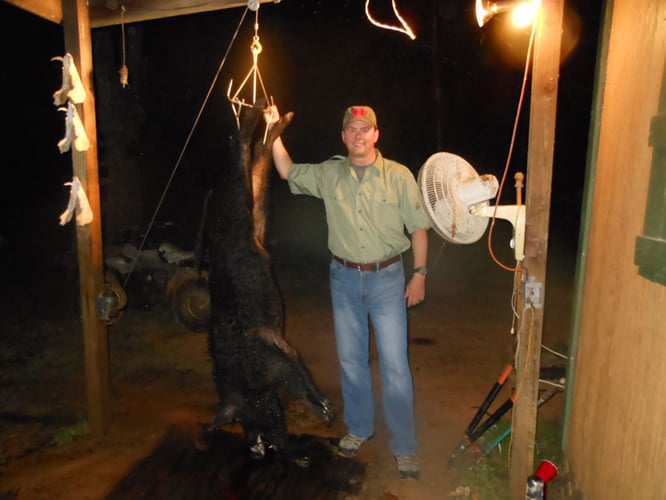 Fri - Sun Wild Boar Hunt In Tennessee Colony