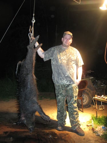 Fri - Sun Wild Boar Hunt In Tennessee Colony