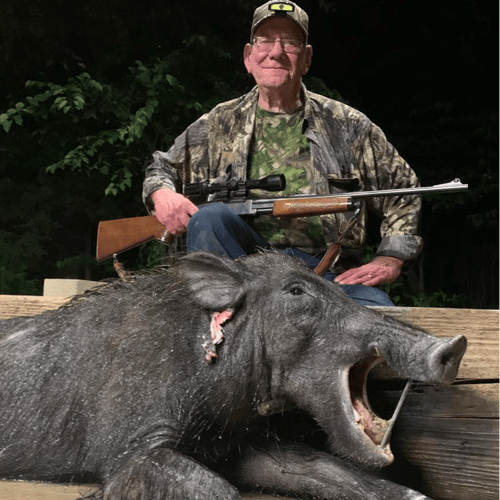 Fri - Sun Wild Boar Hunt In Tennessee Colony