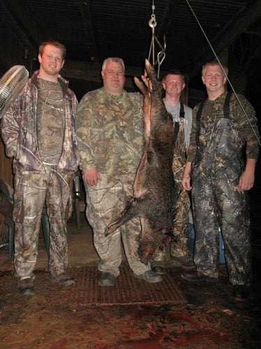 Fri - Sun Wild Boar Hunt In Tennessee Colony