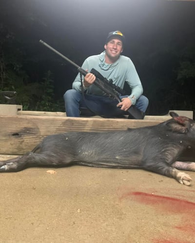 Fri - Sun Wild Boar Hunt In Tennessee Colony