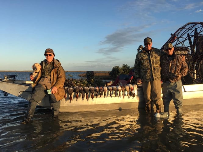 Airboat Duck Hunts In Rockport