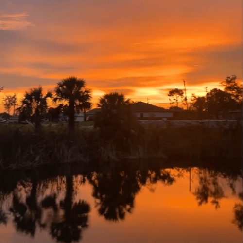 Bass/Sunset Cruise In Cape Coral