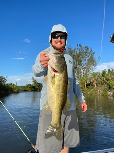 Bass/Sunset Cruise In Cape Coral