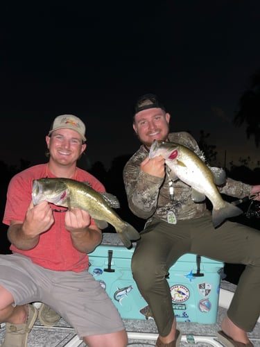 Bass/Sunset Cruise In Cape Coral