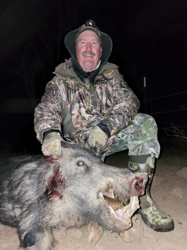 Texas Hog Smackdown! In Bridgeport