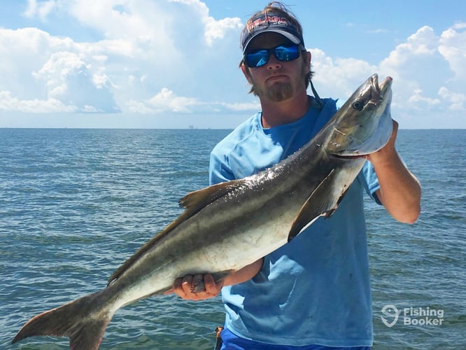 Biloxi Inshore Outing in Biloxi