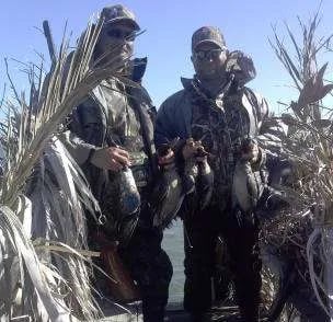 Duck Takedown! In Rockport