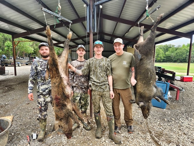 Thermal Hog Hunt Thrills In Lindale