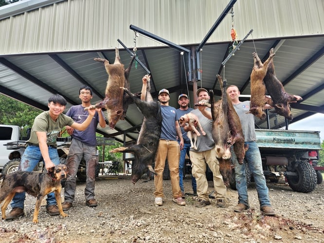 Thermal Hog Hunt Thrills In Lindale